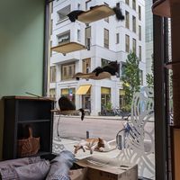  at Katzentempel - Leipzig Mitte in Leipzig