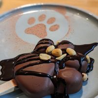  at Katzentempel - Leipzig Mitte in Leipzig