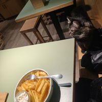  at Katzentempel - Leipzig Mitte in Leipzig