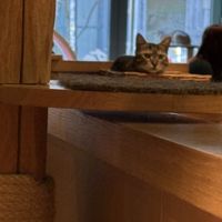   at Katzentempel - Leipzig Mitte in Leipzig