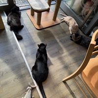   at Katzentempel - Leipzig Mitte in Leipzig