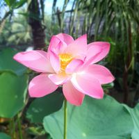  at Quoc Linh Eco Village Retreat in Hoi An