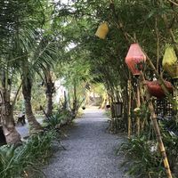  #Veganuary at Quoc Linh Eco Village Retreat in Hoi An