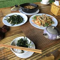 I had rice, morning glory with garlic, papaya & mango salad, mushrooms and tofu stew - All to die for 😋💚🌾 #Veganuary at Quoc Linh Eco Village Retreat in Hoi An