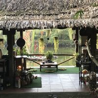 Just chillax 😍 #Veganuary at Quoc Linh Eco Village Retreat in Hoi An