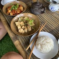 Tofu with tomatosauce and lemongrass  at Quoc Linh Eco Village Retreat in Hoi An