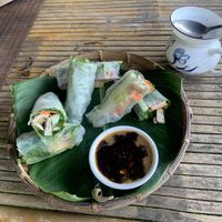 spring rolls  at Quoc Linh Eco Village Retreat in Hoi An