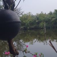 Flowers at #quoclinhecovillage retreat at Quoc Linh Eco Village Retreat in Hoi An