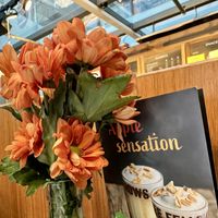 inside  at Coffee Fellows in Halle