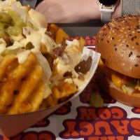  at The Saucy Cow in Dublin