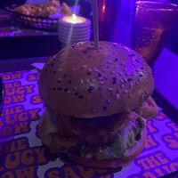   at The Saucy Cow in Dublin