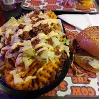 McDaddy Fries and the Space Cowboy at The Saucy Cow in Dublin