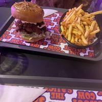   at The Saucy Cow in Dublin