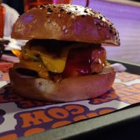  at The Saucy Cow in Dublin