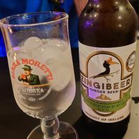 Terrific beer at The Saucy Cow in Dublin