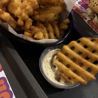   at The Saucy Cow in Dublin