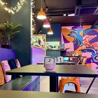 The Saucy Cow  at The Saucy Cow in Dublin