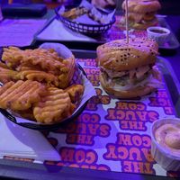   at The Saucy Cow in Dublin