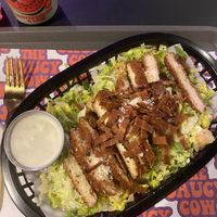   at The Saucy Cow in Dublin