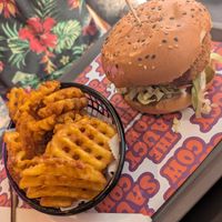  at The Saucy Cow in Dublin