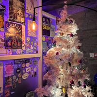   at The Saucy Cow in Dublin