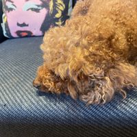   at One More Cafe in Da Lat