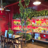  at Mae Mae Café in Bronx