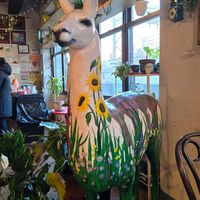  at Mae Mae Café in Bronx