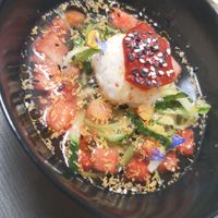 Starter at Lento in Antwerpen