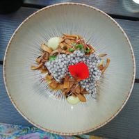 Voorgerecht met paddenstoelen at Lento in Antwerpen