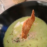 Starter at Lento in Antwerpen