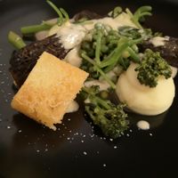  at Lento in Antwerpen