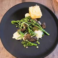  at Lento in Antwerpen