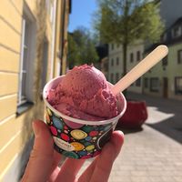 Waldbeer, compostable cup and spoon  at Eiscafe Da Sandro in Freising