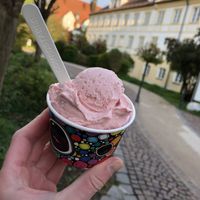 Erdbeere (vegan)  at Eiscafe Da Sandro in Freising