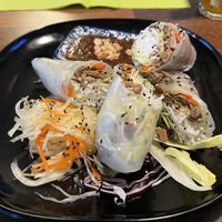 Sommerrollen mit veganem Beef und Ernußdip  at Vegan 1983 in Erfurt