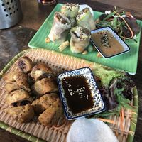 37 and 49  at Vegan 1983 in Erfurt