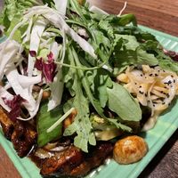   at Vegan 1983 in Erfurt