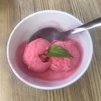 Dessert (blackberry ice cream)  at La Tarara de Guaso in Huesca