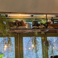 Interior at VIBE Plant Based Cafe & Restaurant in Douglas