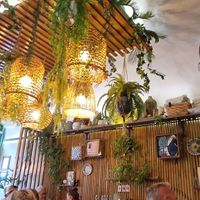  at VIBE Plant Based Cafe & Restaurant in Douglas