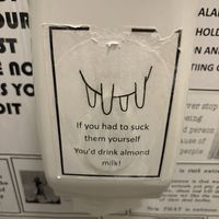   at VIBE Plant Based Cafe & Restaurant in Douglas