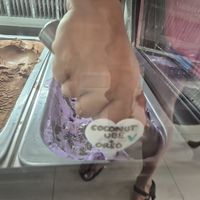 Out of this world at Tilly's Gelato in Hertford