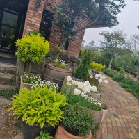  at Indian Kitchen in Jeju