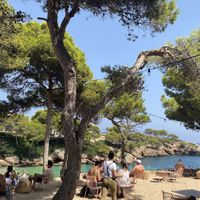 Outside terrace with sea view  at Sa Cala Beach Club in Mallorca