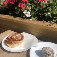 Plant based Kanelbullar (left) &chokladbollar (right)  at Mormors Bageri in Lund