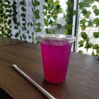  at Plantology  in San Antonio