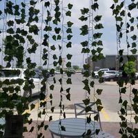  at Plantology  in San Antonio