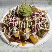   at Plantology  in San Antonio