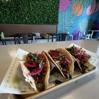   at Plantology  in San Antonio